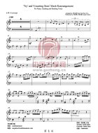 Try&Counting Stars（古筝部分）